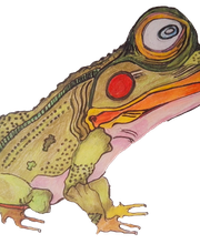 YOGA PER TUTTI Bild 4