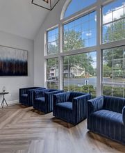 Elements of Madison Apartments image 14