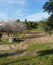 MI HUERTO EN TRES CANTOS 224763417_0001_20170523(3).jpg