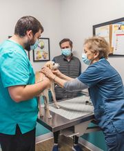 Short Pump Animal Hospital image 13