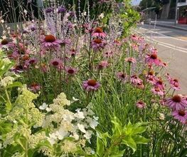 Vogel Gartenbau AG Bild 1