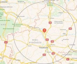 D -Nuisibles EURL image 10