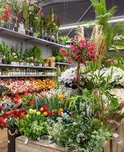 La Foir Fouille image 6