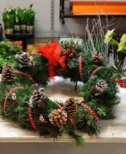 Des Fleurs En Plus image 16