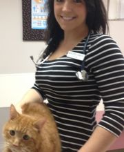 Ellicott Street Animal Hospital image 5