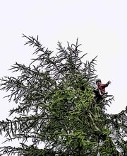 SAM EN CIMES image 6