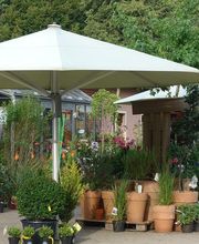 GartenBaumschule Schneider Bild 2