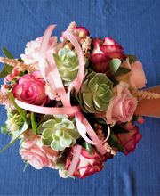 La Pensée Bleue image 1