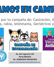 232167692-1-3SWpSiCMN21684751421579.jpeg