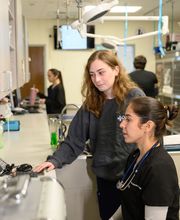 Oath Animal Hospital image 10