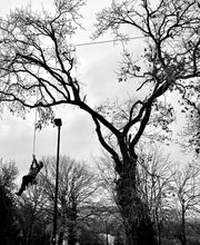 SAM EN CIMES image 4