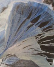 Jourdan Caroline image 1