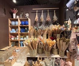Søstrene Grene billede 4