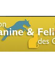 Pension Canine Et Feline Des Crayes image 1