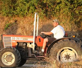Domaine Blachon image 7