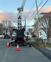 Owen's Tree Expert image 11