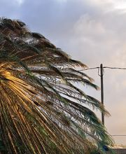 Agro Camping Invernaderito imagen 2