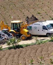 Fantastic Gardens imagen 14