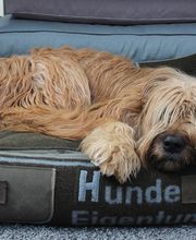 Schönes Hundeleben Bild 3