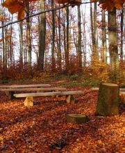 Am Andachtsplatz im FriedWald Wangen kann eine Trauerfeier unter freiem Himmel stattfinden.
