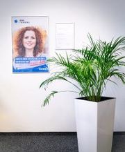 Grünpflanze im Flur. Dahinter ein WBS TRAINING Plakat.
