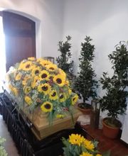 Gärtnerei Gerhardt Bild 3