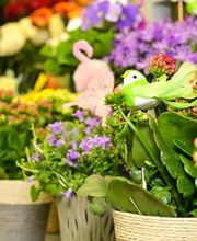 Au Fil des Saisons image 5