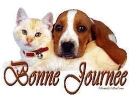 Bouhier image 12