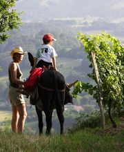 Domaine Mourguy image 6