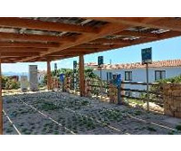 Powy Energy immagine 1