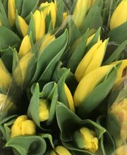 Finden Sie hier einen Einblick in unser umfangreiches Sortiment an Schnittblumen, Topfpflanzen und Accessoires.