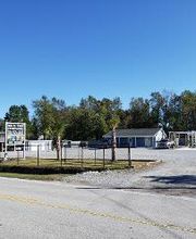 Hall's Tree Service image 14