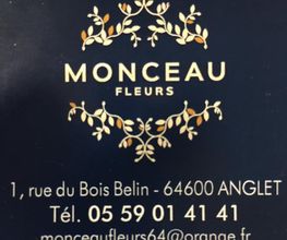 Monceau Fleurs image 2