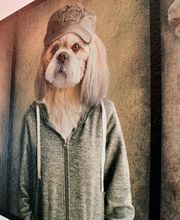 Wonderwall, Vertical Prints, Inh. Kai Dawson Bild 3