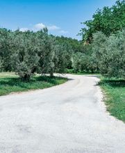 Moulin à Huile Paradis image 4