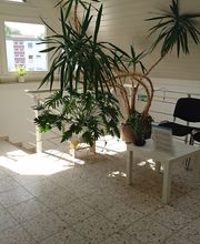 inlingua Sprachencenter & Bildungsakademie MK Bild 1