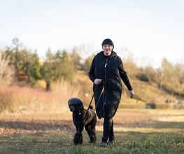 Hundeschule Tanja Kaiser Bild 5