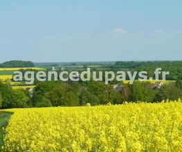 Agence du Pays image 4