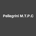 Pellegrini M.T.P.C