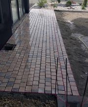 Mendes Cavao Btp image 12