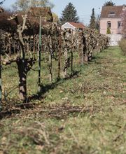 Résidence MERICI image 2