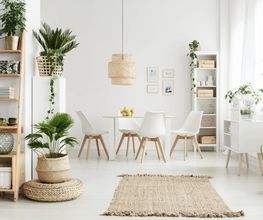 Cours Feng Shui Genève et Lausanne - Ecole d'arts taoïstes