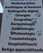300435393-0-EFH1YRVUHj1777989223448.jpeg