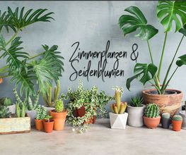 Aumann GmbH Garten & Wohnen Bild 3