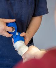 Tierarzt Heidelberg, Tierärztliches Zentrum an der Feuerwache Bild 9