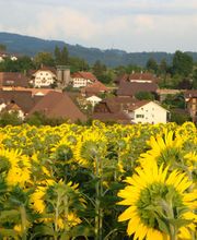 Gemeindeschreiberei Einwohnerkontrolle Kallnach Bild 2