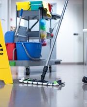 ECO Reinigung Mardare Bild 3