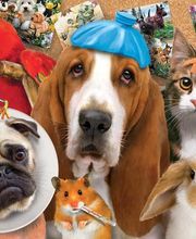 Harvey Animal Hospital image 8