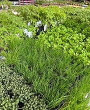 Bricomarché Chauny image 11