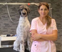 Patty's Hundesalon Bild 5